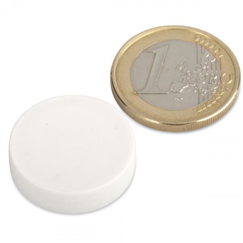 Aimant néodyme Ø 22,0 x 6,0 mm avec revêtement plastique - blanc - 4,1 kg