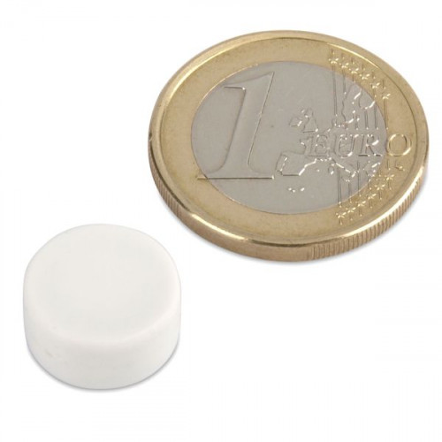 Aimant néodyme Ø 12,7 x 6,3 mm avec revêtement plastique - blanc - 2 kg