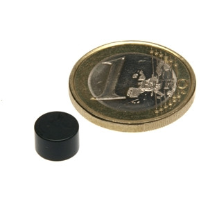 Disque magnétique Ø 8,0 x 5,0 mm N45 Époxy - adhérence 2,5 kg