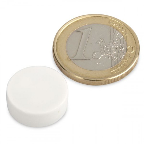 Aimant néodyme Ø 16,0 x 6,0 mm avec revêtement plastique - blanc - 2,6 kg