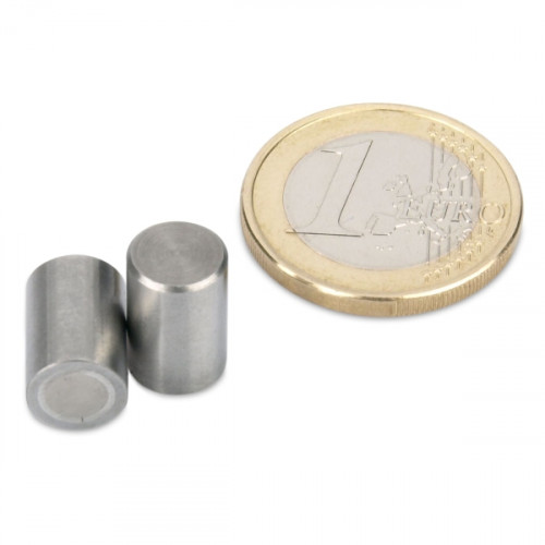 AlNiCo Aimant cylindrique avec base Ø 8 x 12 mm, acier, tolerance h6, 400 g